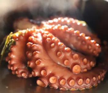 image of fresh ingredients (for a chinese restaurant)