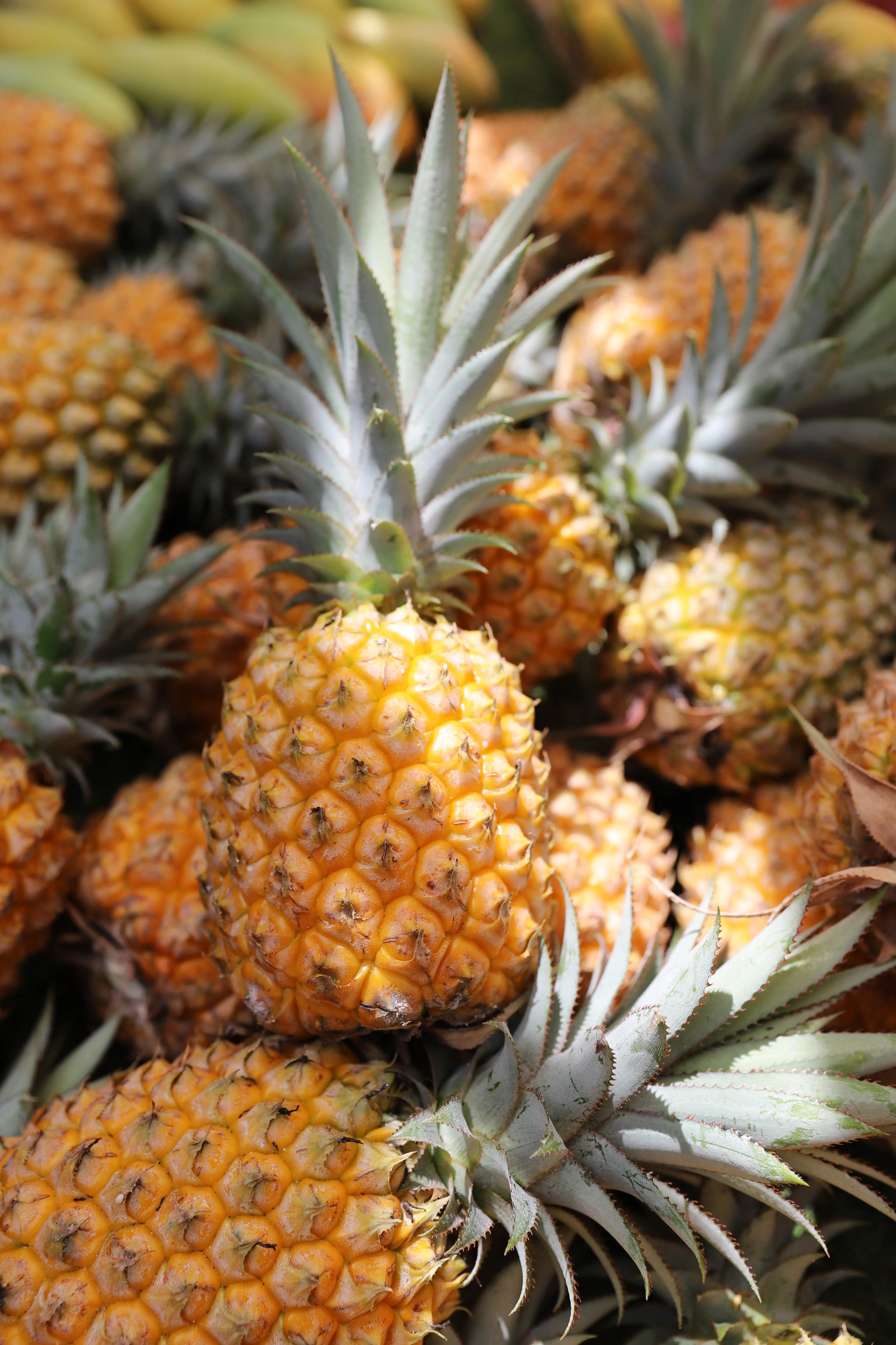 image of outdoor dining experience (for a food truck)