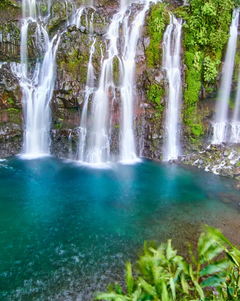 image of beautifully plated food dish (for a bars & pub)